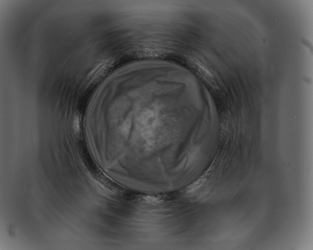 X0000091710166200709210948