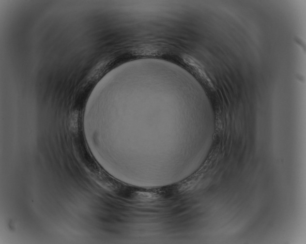 X0000091710167200709210948