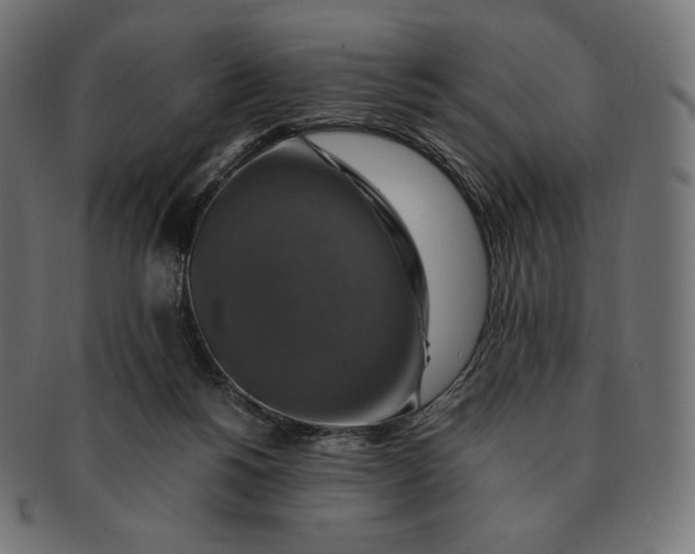 X0000091710168200709210948