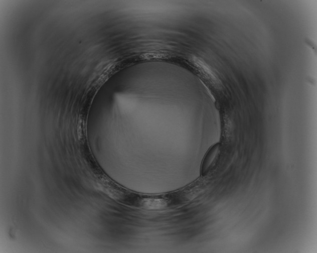 X0000091710169200709210948