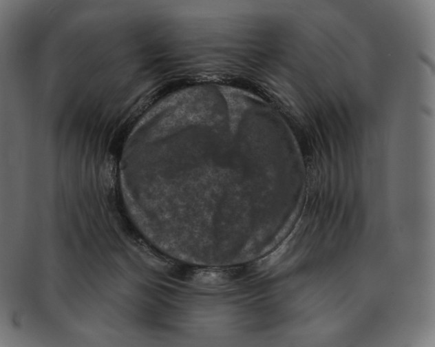 X0000091710174200709210948