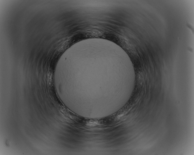 X0000091710177200709210948