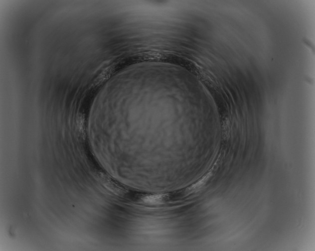 X0000091710178200709210948