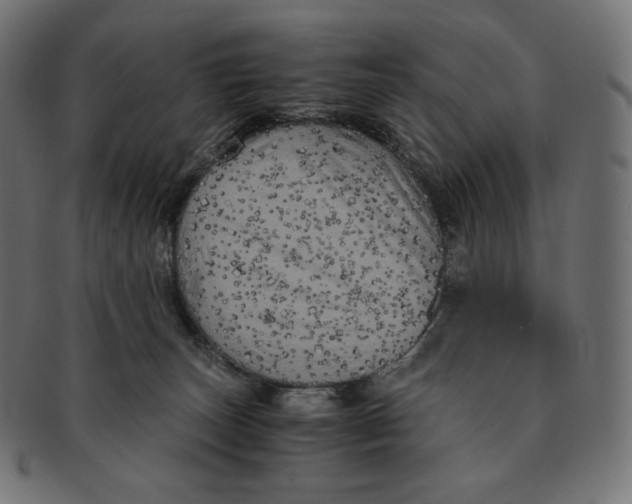 X0000091710179200709210948