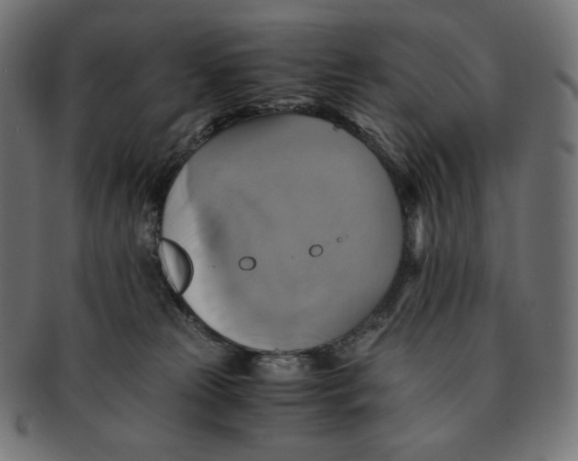 X0000091710181200709210948