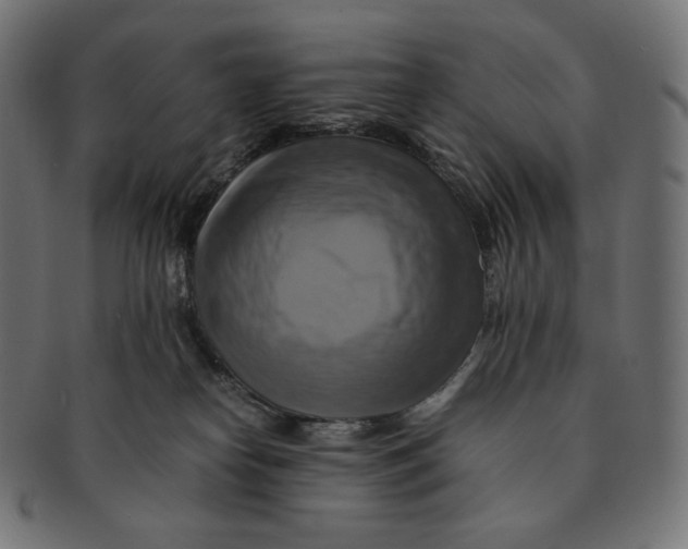 X0000091710182200709210948