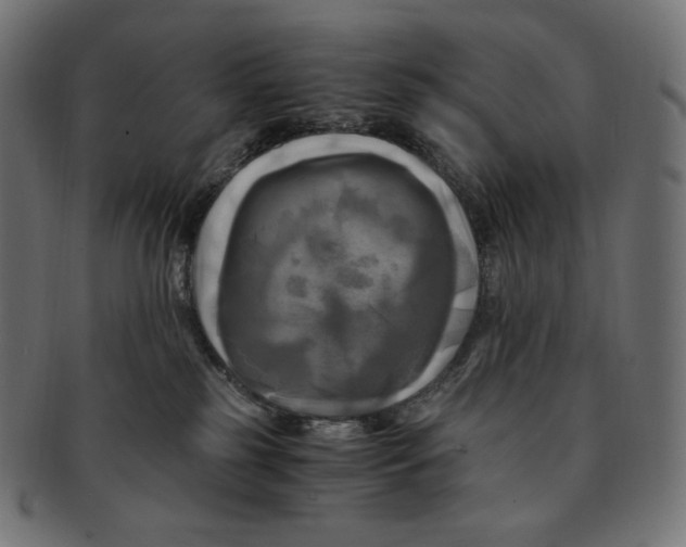 X0000091710185200709210948