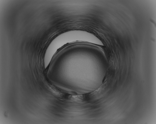 X0000091710188200709210948