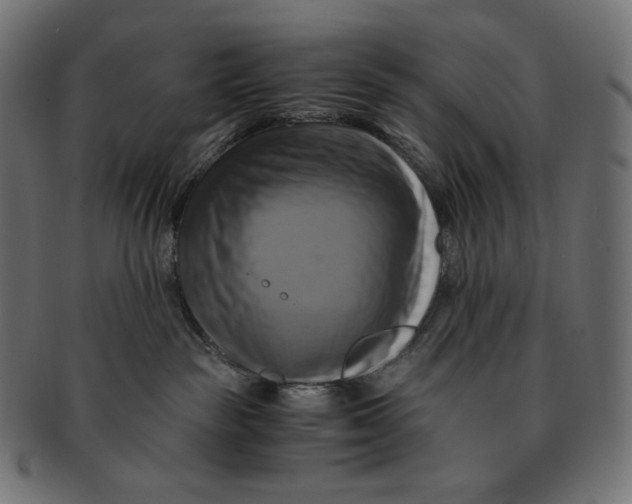 X0000091710189200709210948