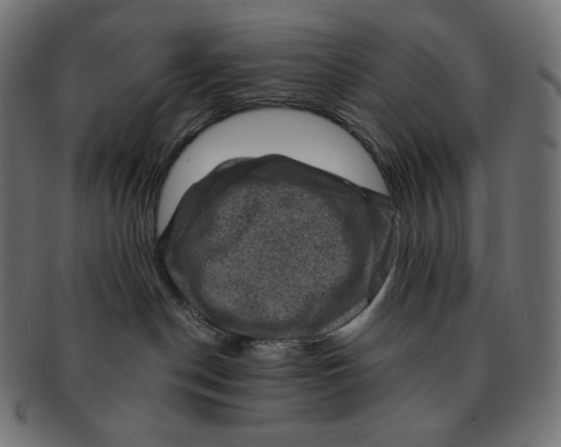 X0000091710190200709210948