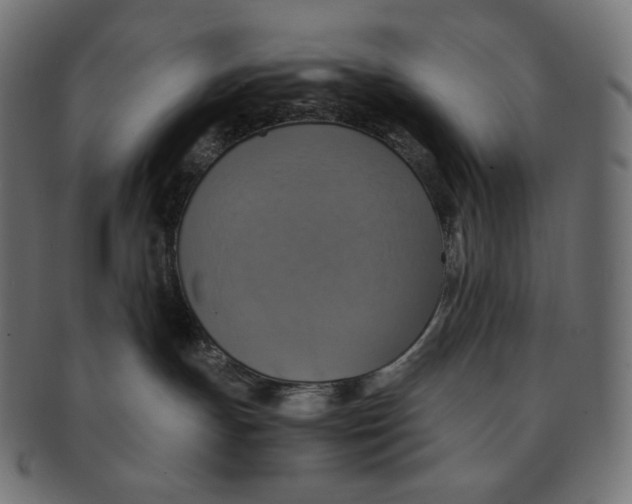 X0000091710191200709210948