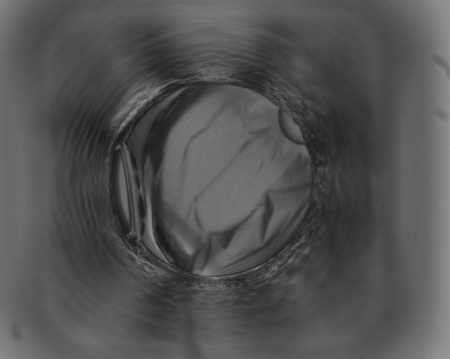 X0000091710194200709210948