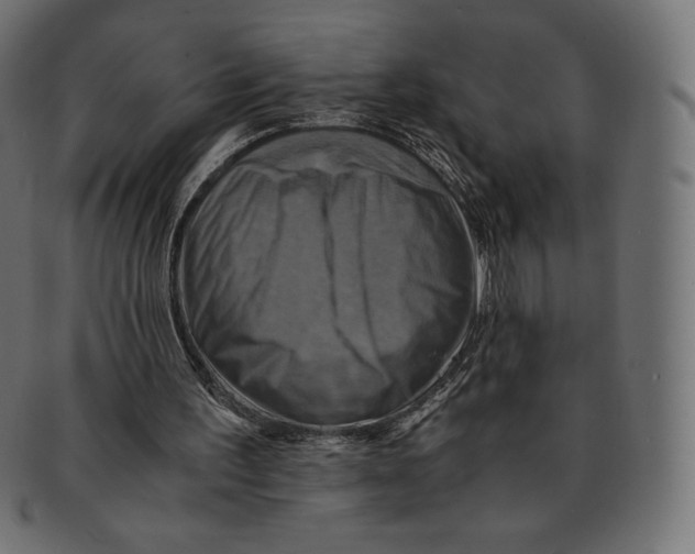 X0000091710195200709210948