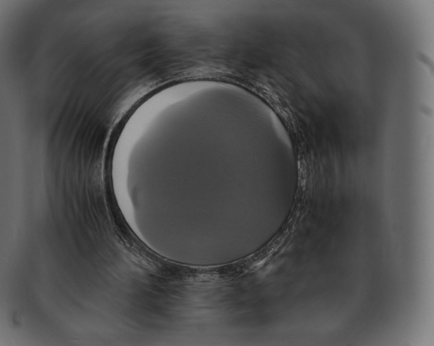 X0000091710196200709210948