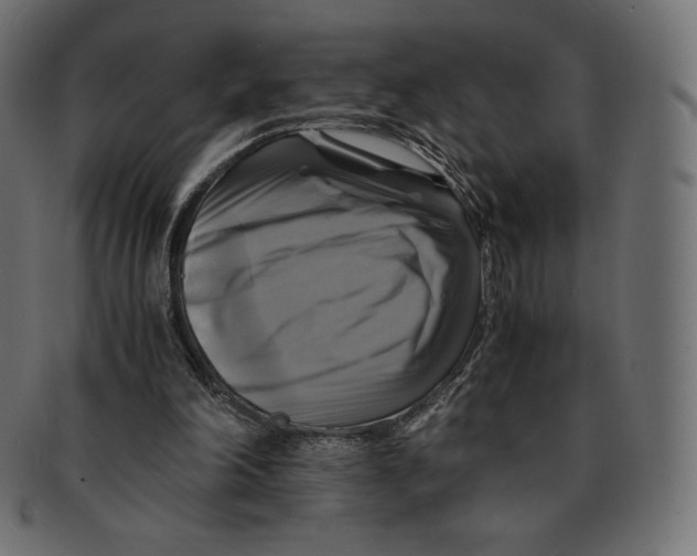 X0000091710198200709210948