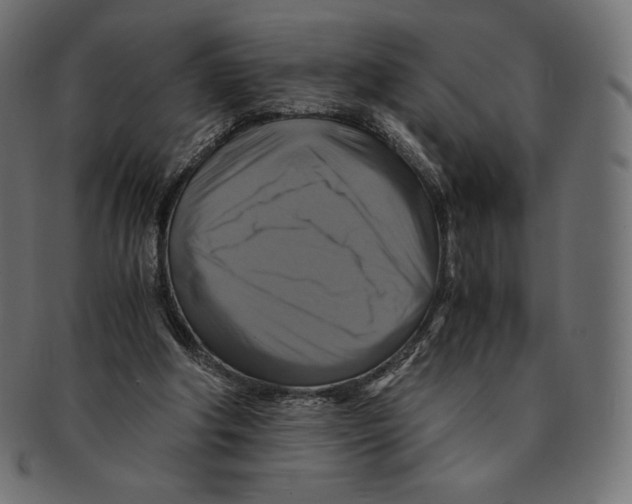 X0000091710202200709210948