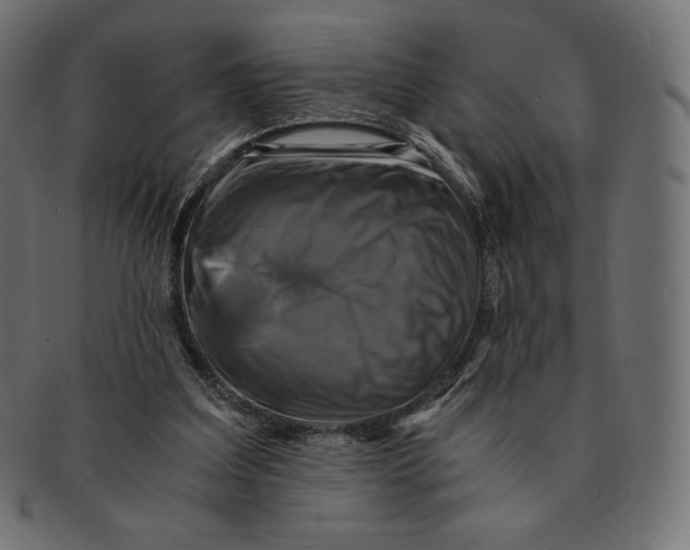 X0000091710203200709210948