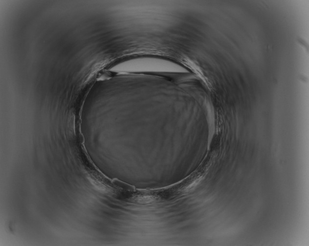 X0000091710205200709210948