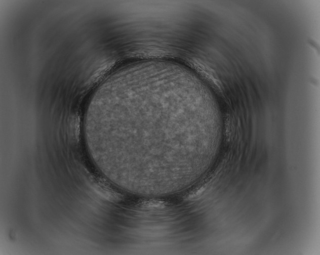 X0000091710206200709210948