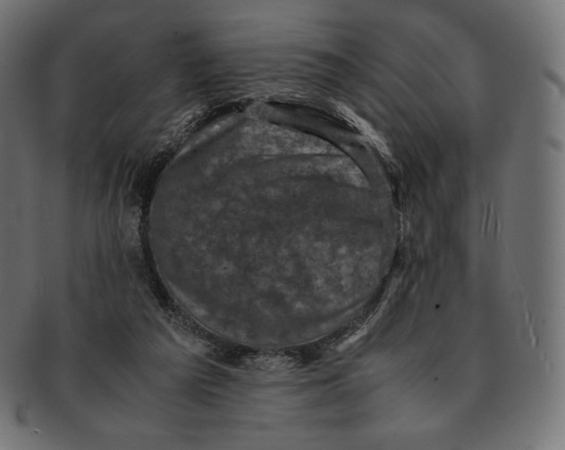 X0000091710209200709210948