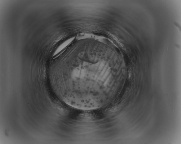 X0000091710211200709210948