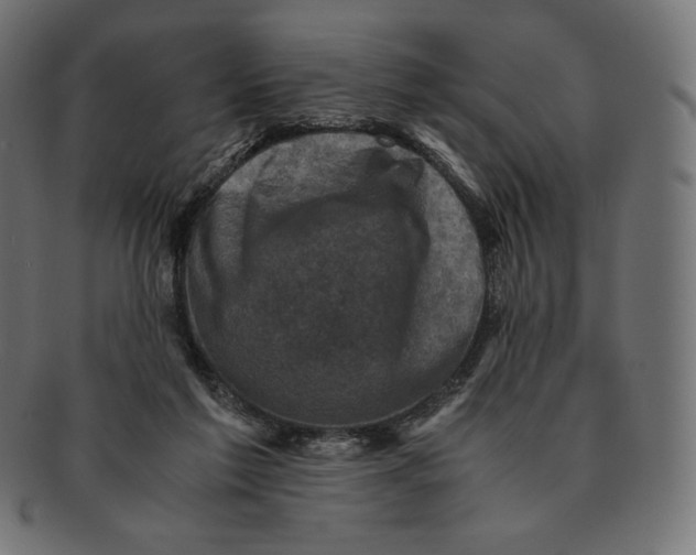 X0000091710213200709210948