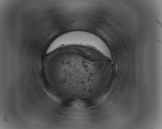 X0000091710215200709210948