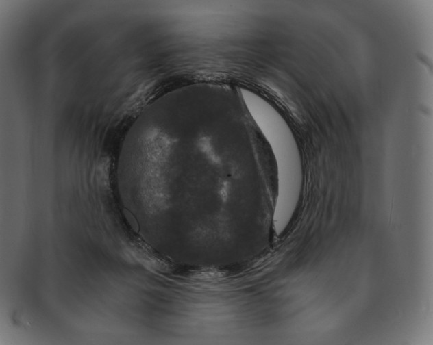 X0000091710217200709210948