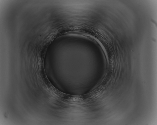 X0000091710223200709210948