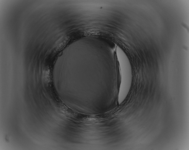 X0000091710224200709210948