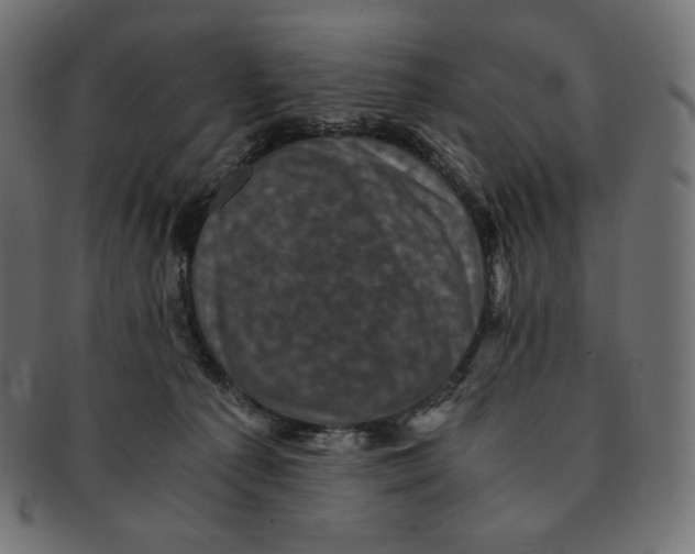 X0000091710225200709210948