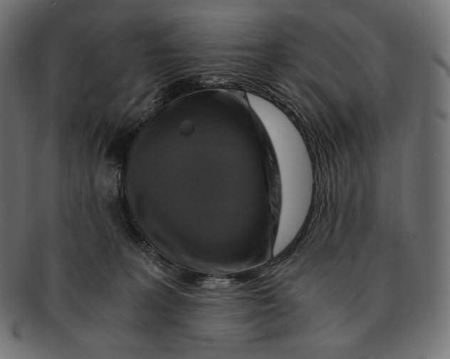 X0000091710227200709210947