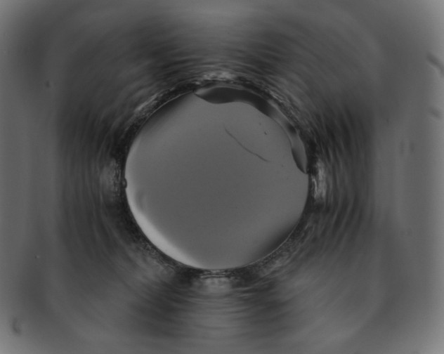 X0000091710228200709210947