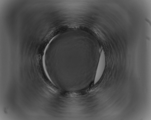 X0000091710229200709210947