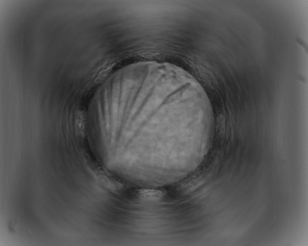 X0000091710234200709210947