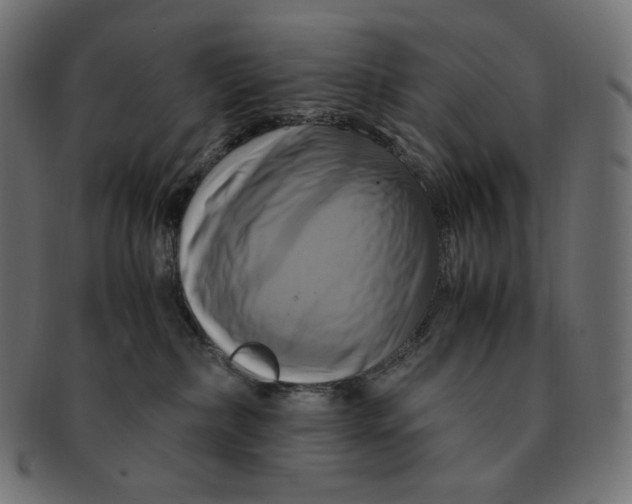 X0000091710236200709210947