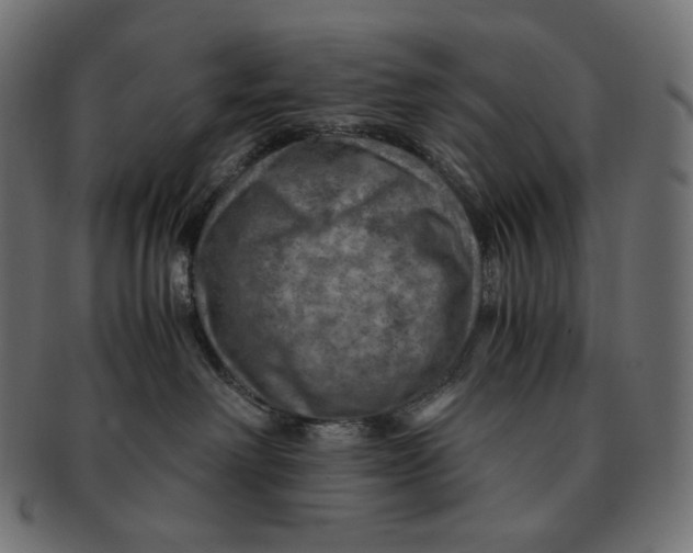 X0000091710238200709210947