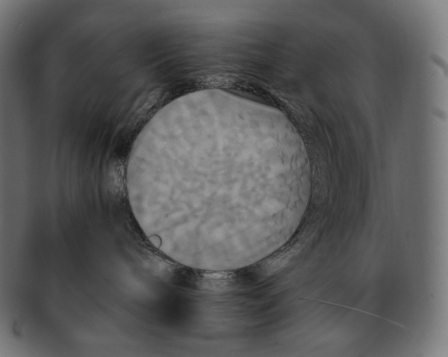 X0000091710240200709210947