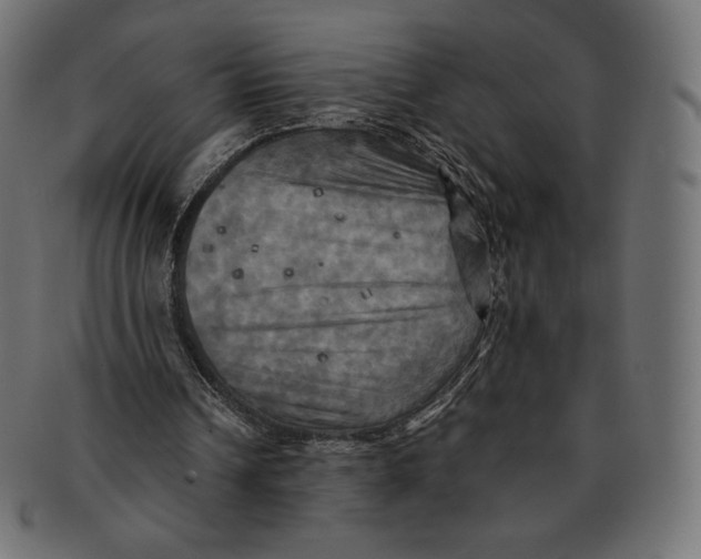 X0000091710242200709210947