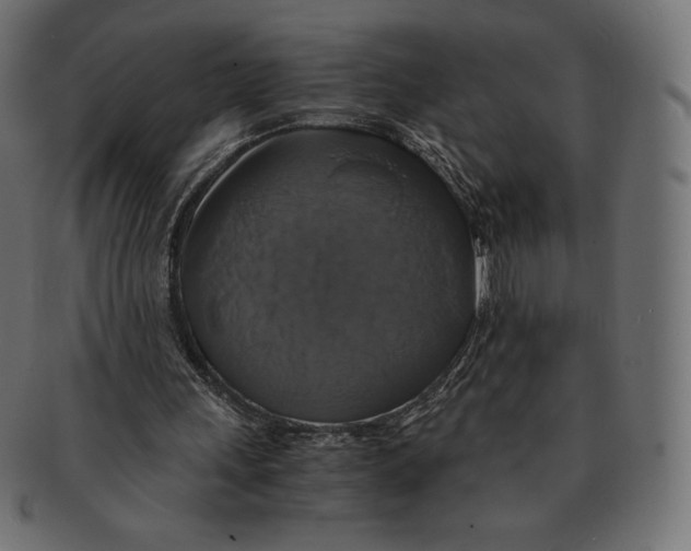 X0000091710243200709210947