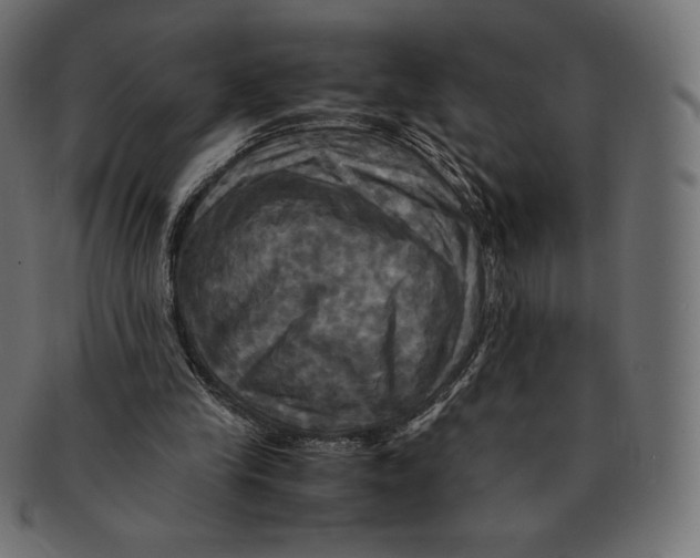 X0000091710245200709210947