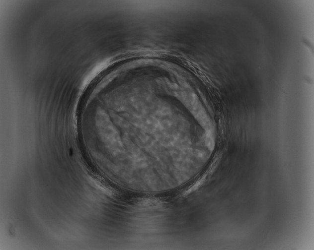 X0000091710246200709210947