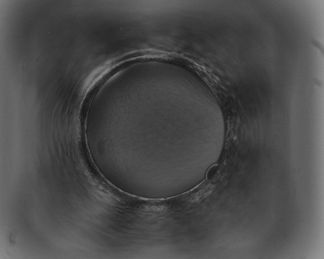 X0000091710247200709210947