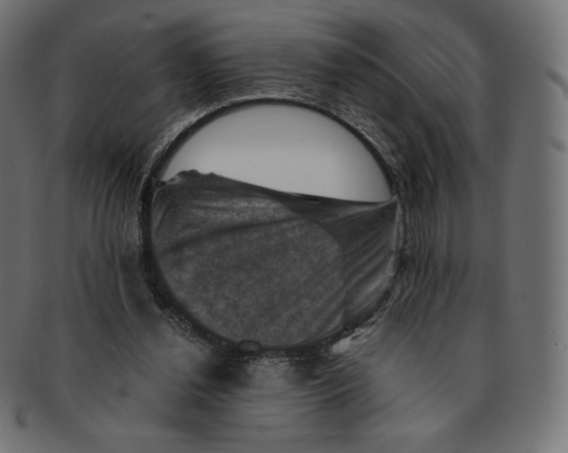 X0000091710252200709210947