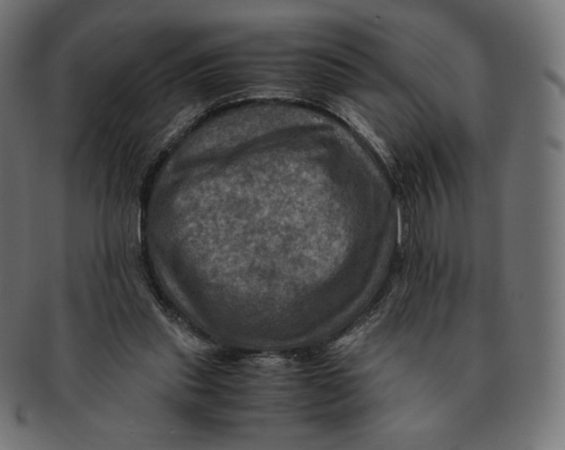 X0000091710253200709210947