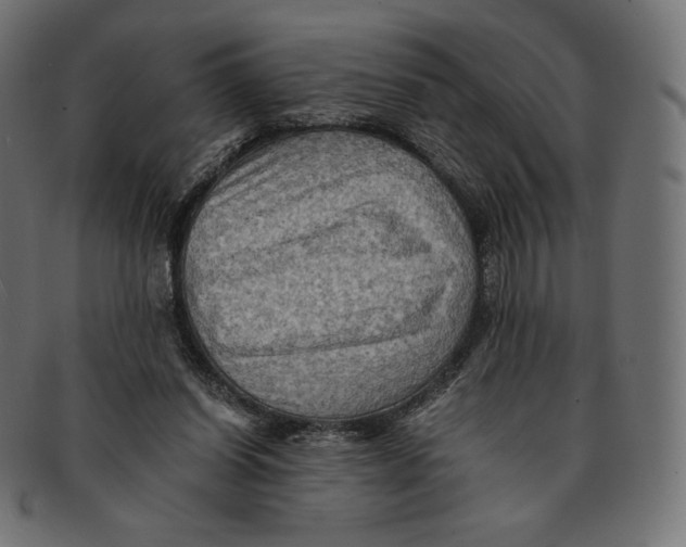 X0000091710254200709210947