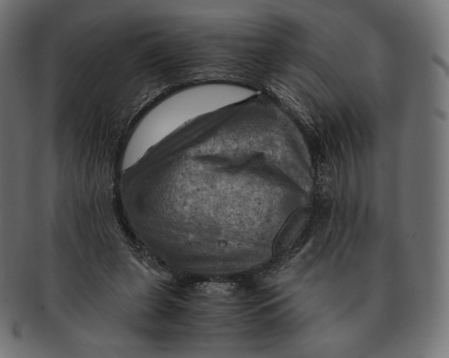 X0000091710255200709210947