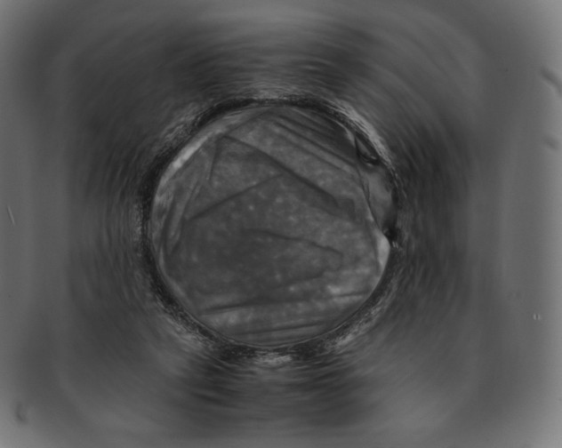 X0000091710257200709210947