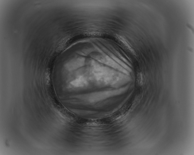 X0000091710259200709210947