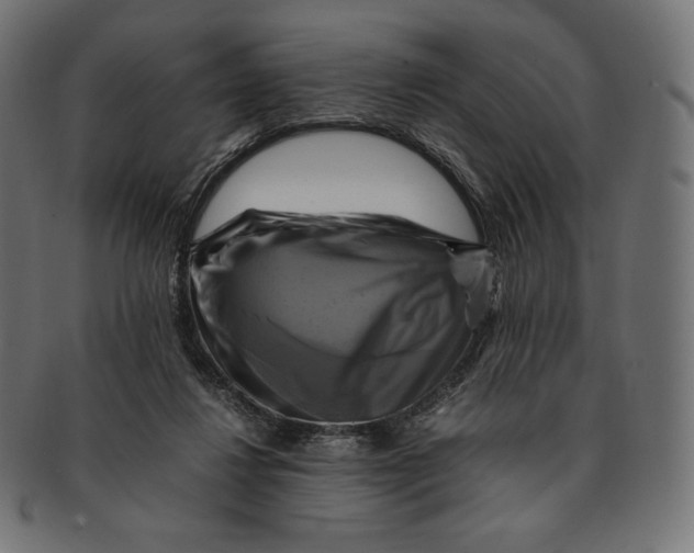 X0000091710260200709210947